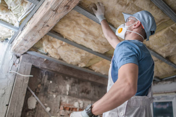 Best Insulation Installation Services in La Habra, CA