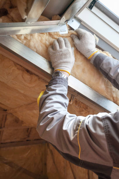 Best Residential Insulation in La Habra, CA